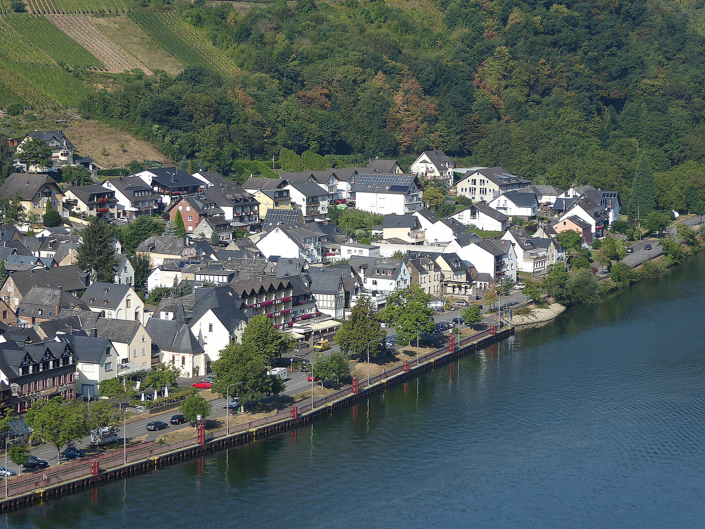 Ellenz Mosel