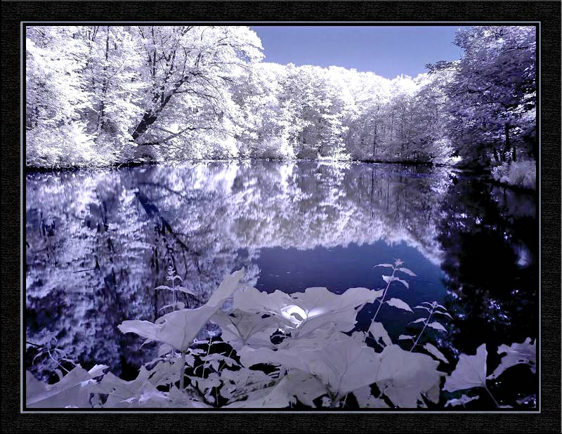 Eller Schloßpark (IR)