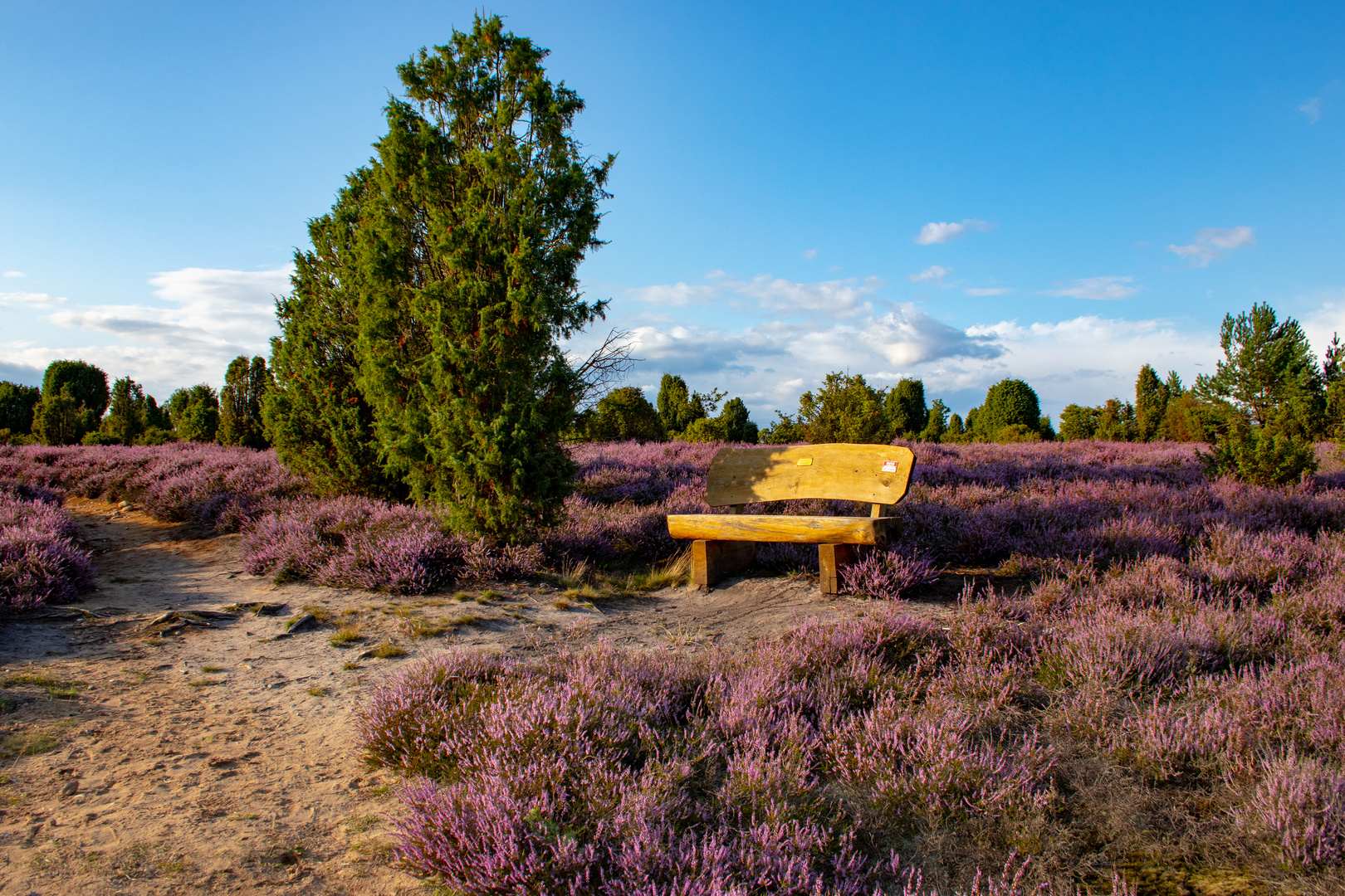 Ellerndorfer Heide