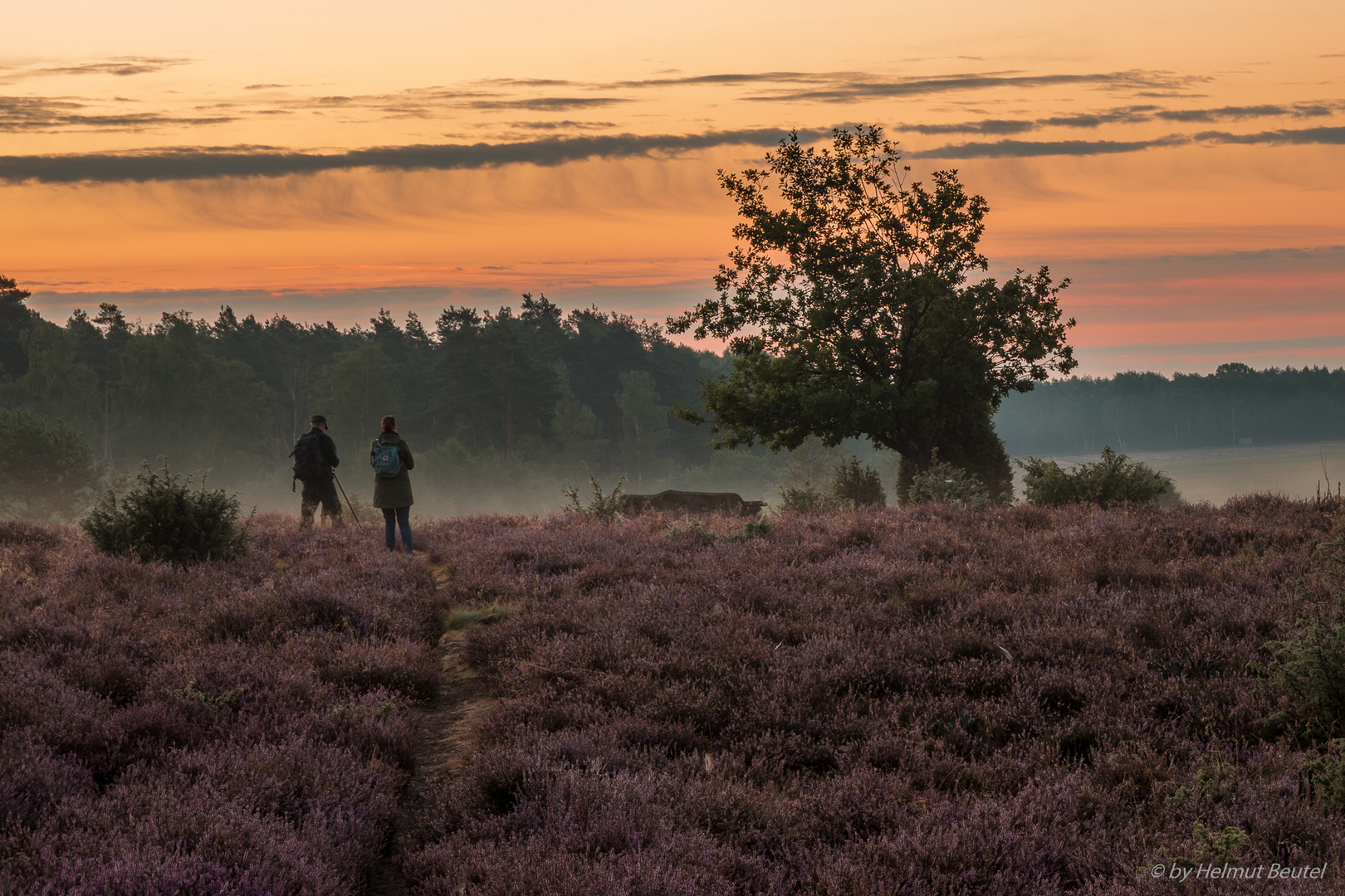 Ellerndorfer Wachholderheide - Die Zwei