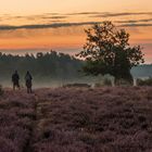 Ellerndorfer Wachholderheide - Die Zwei