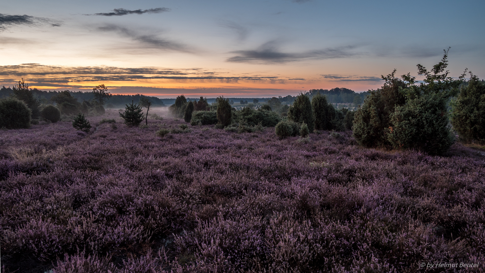 Ellerndorfer Wachholderheide - Sonnenaufgang