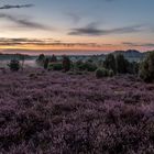 Ellerndorfer Wachholderheide - Sonnenaufgang