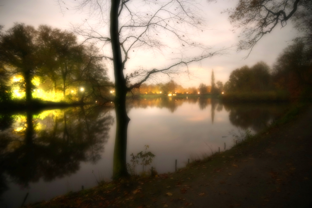 Ellernteich bei Nacht