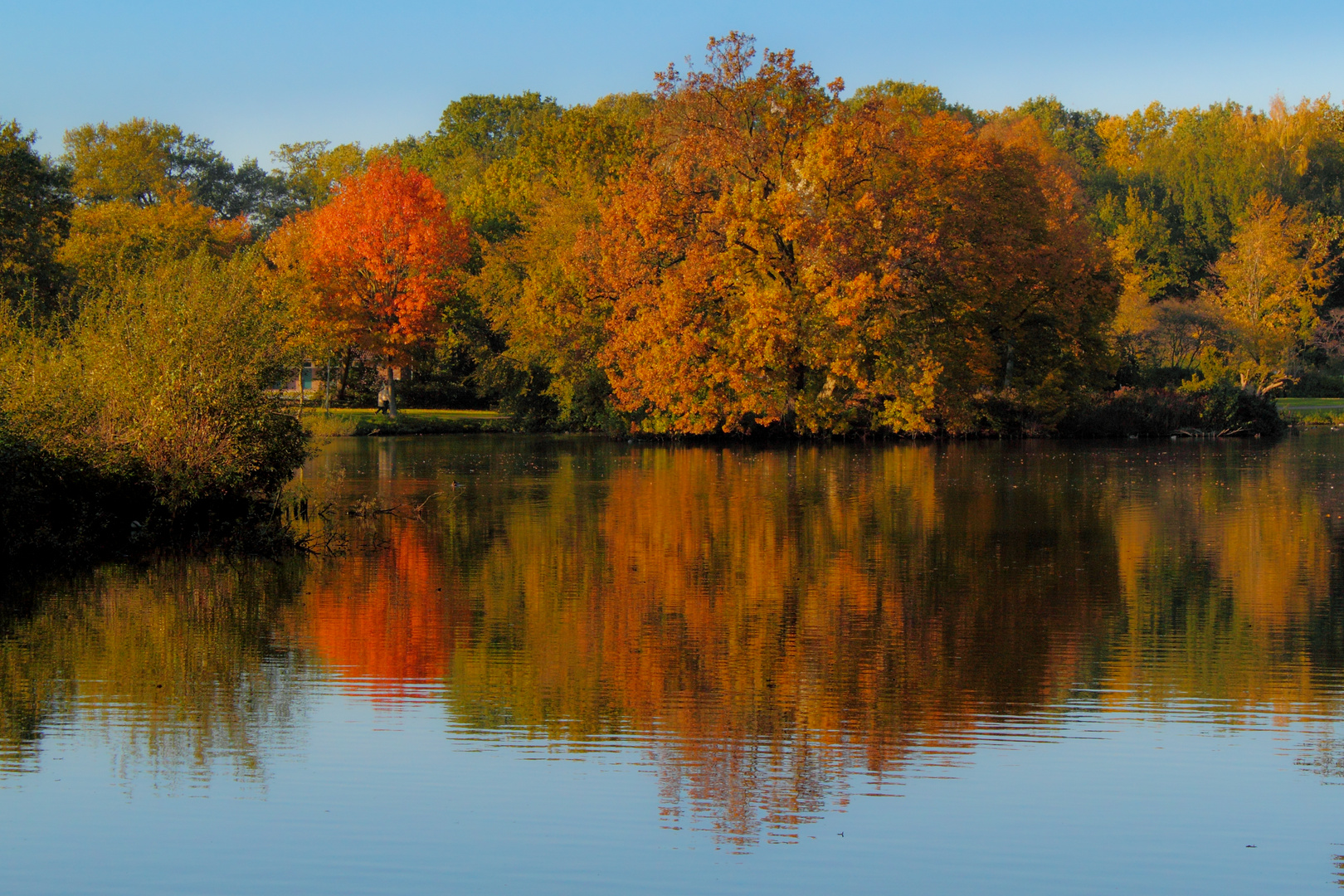 Ellernteich in Rastede