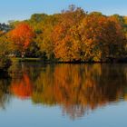 Ellernteich in Rastede