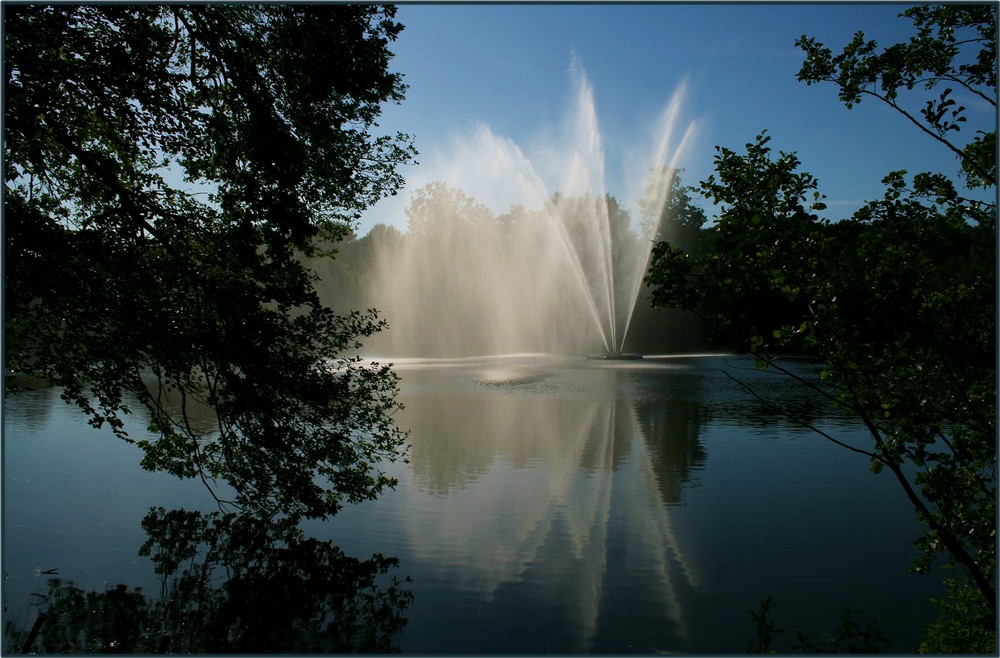 Ellernteich in Rastede um 19 Uhr