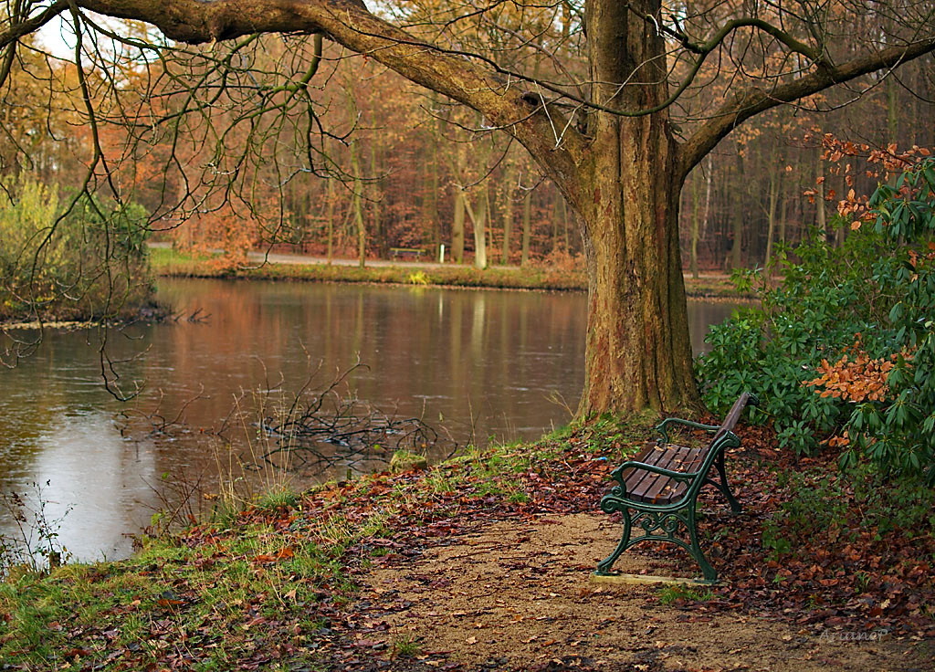 Ellernteich Rastede