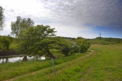Ellersegen ,( Moor )Insel Hiddensee 