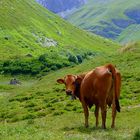 elles sont belles nos montagnes !!