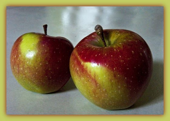 Elles sont bonnes à croquer !