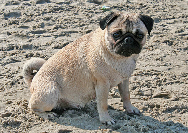 ...Ellie am Strand...