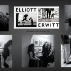 Elliott Erwitt