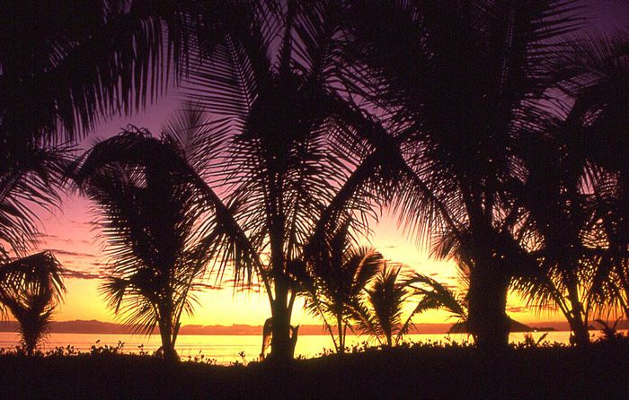 Ellis Beach, Australien