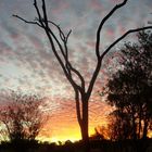 Ellis Springs Sonnenuntergang im Outback