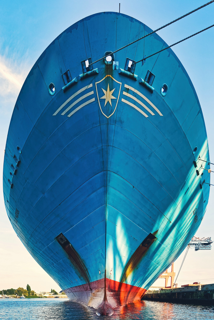 **ELLY MAERSK**