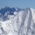 Elmer Kreuzspitze - im Hintergrund die Zugspitze - 27 9 2020