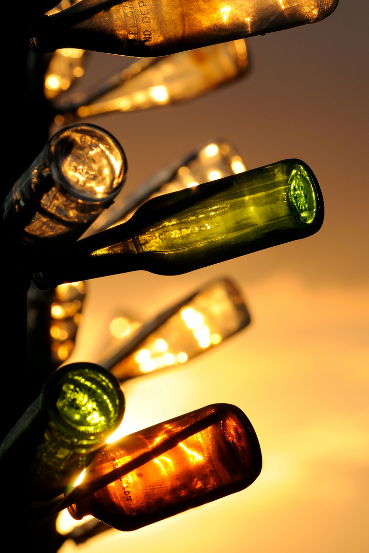 Elmer Long's Bottle Tree Ranch