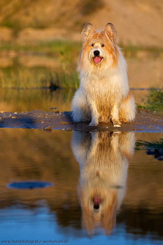 Elo am Wasser