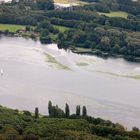 Elodea auf dem Kemnader Stausee