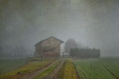 Elogio della nebbia
