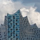 Elphi in den Wolken