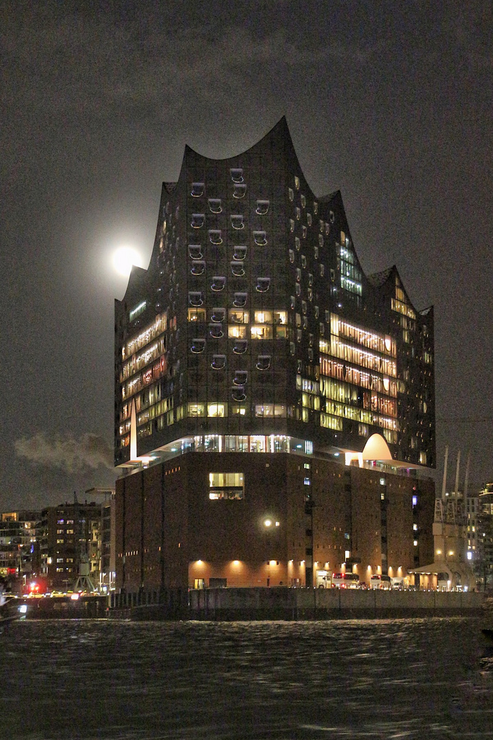 Elphi Mond