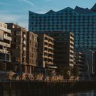 Elphi und Hafencity