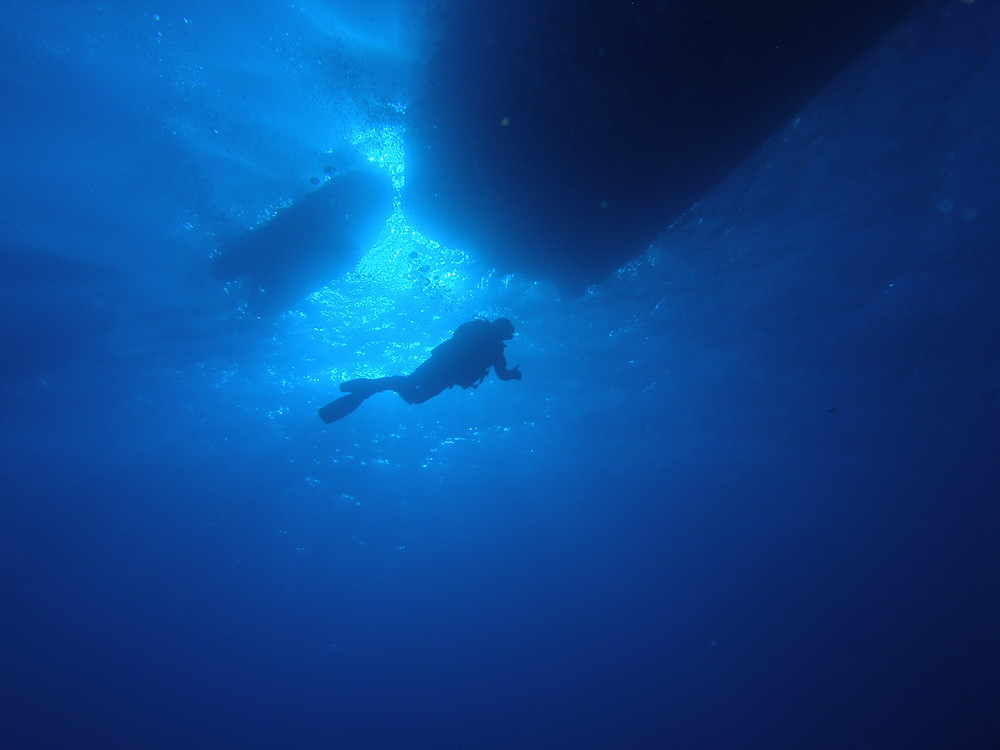 " Elphinstone Reef " Marsa Alam, Ägypten.