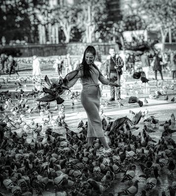 ELS OCELLS  -  LOS PAJAROS