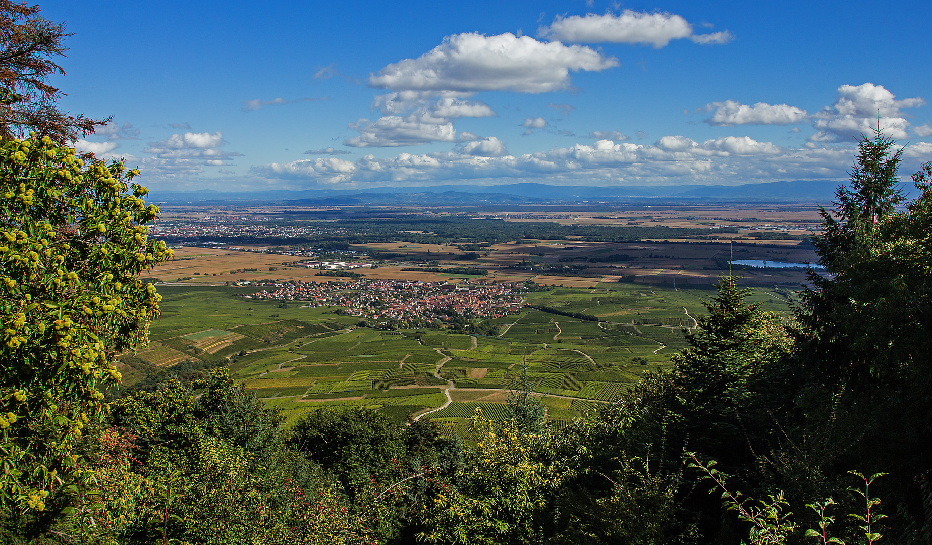 elsässische Rheinebene