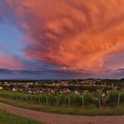 Elsass - brodelnde Wetterküche