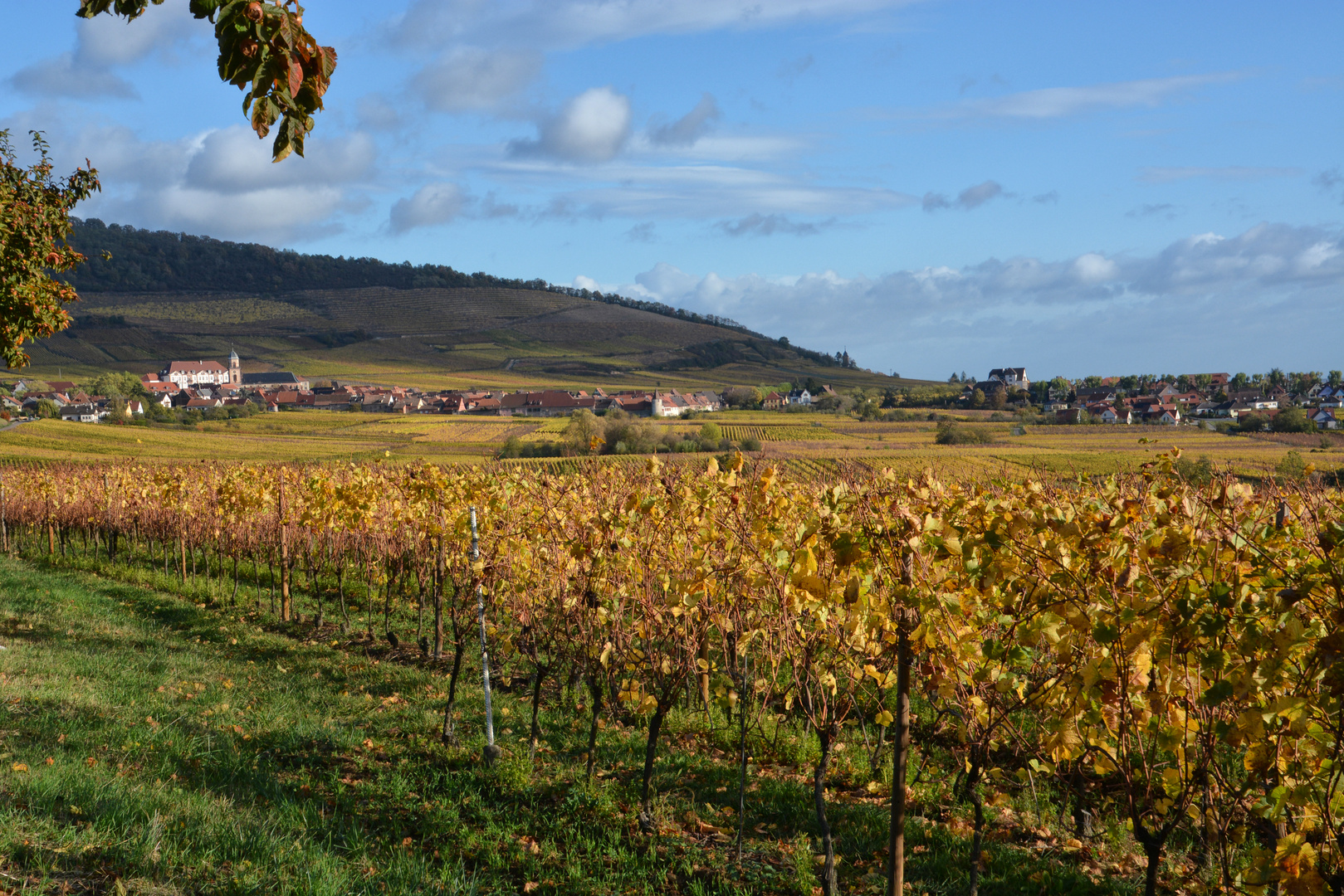 Elsass im Herbst