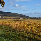 Elsass im Herbst