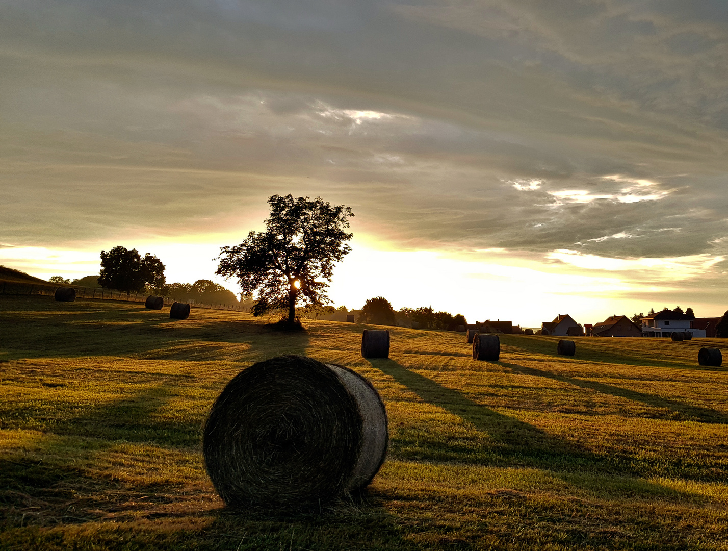 Elsass im Herbst, kurz vor Sonnenuntergang