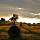 Elsass im Herbst, kurz vor Sonnenuntergang