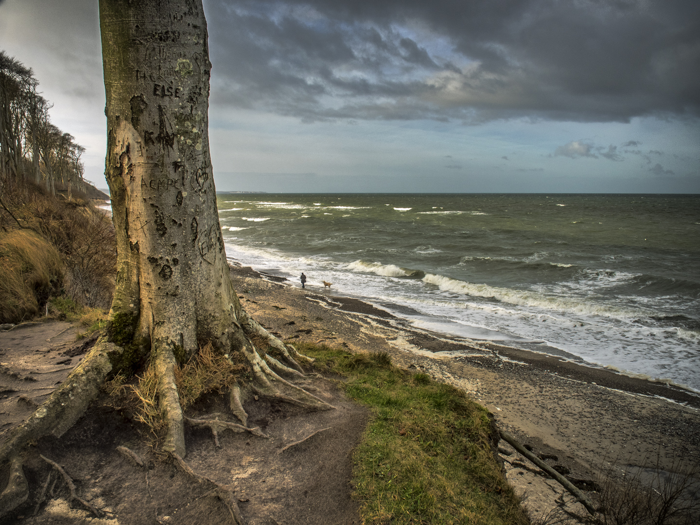 Else Foto & Bild outdoor, wasser, bäume Bilder auf