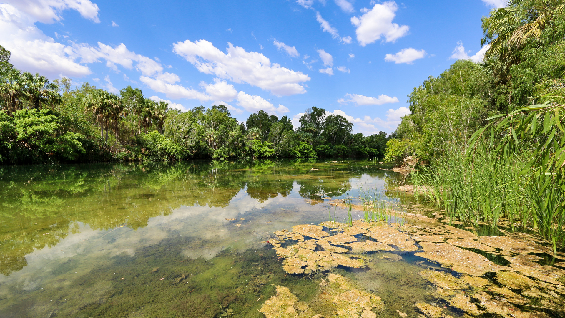 Elsey River, Blick flußauf