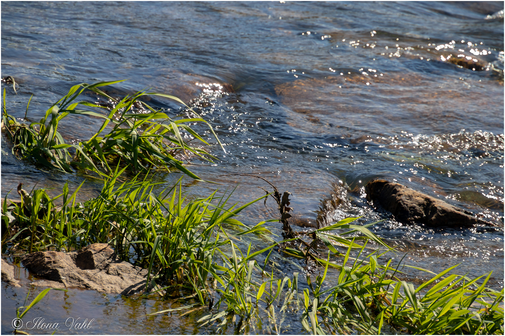 Elsterwasser