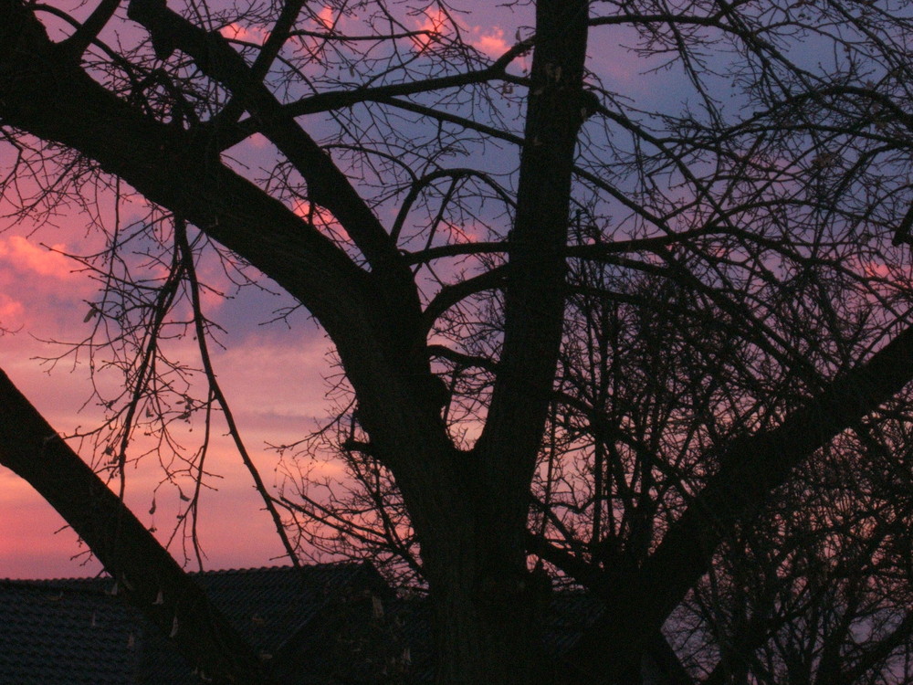 Elsterwerdas Sonnenuntergang