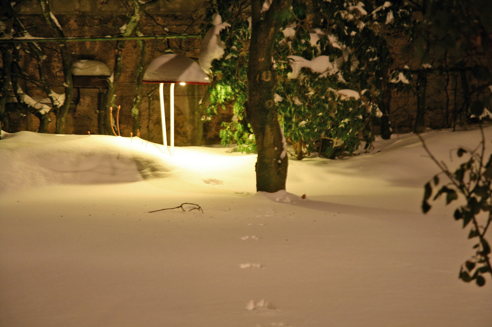 Elterlicher Garten im Schnee 2010