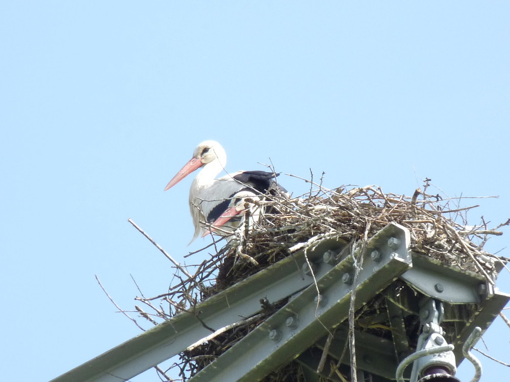 Eltern bei der Arbeit