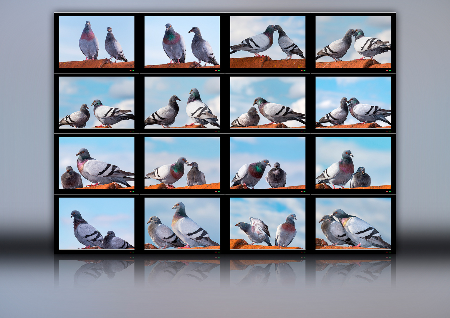 Elternliebe Foto Bild Collagen Natur Collage Bilder Auf Fotocommunity