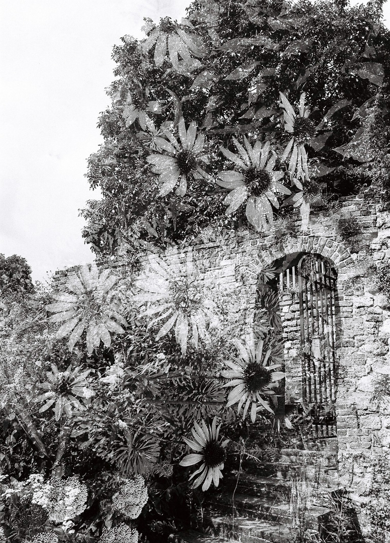 Eltham Palace, "Back Door"