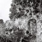 Eltham Palace, "Back Door"