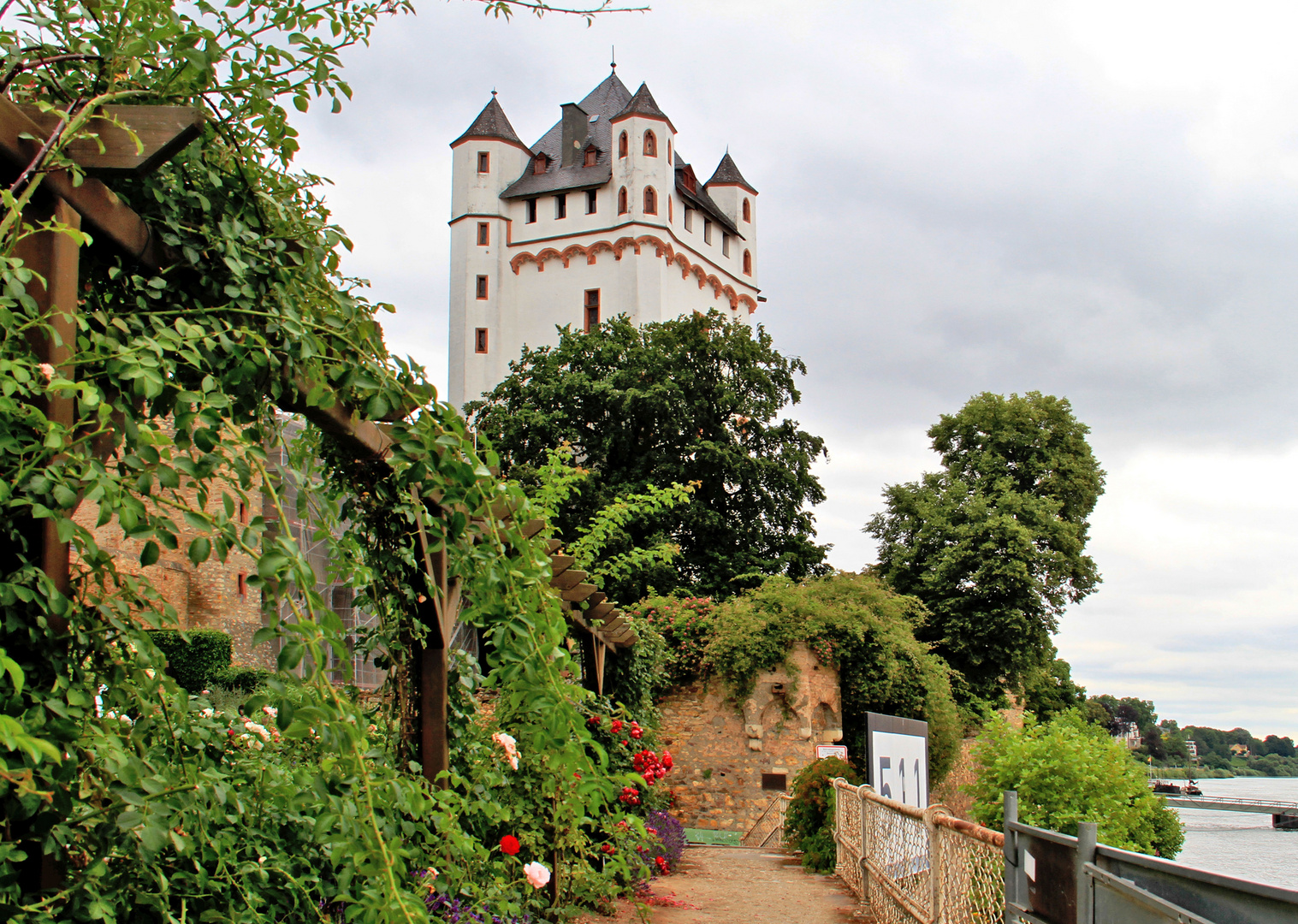 Eltville am Rhein Foto & Bild | world, europa, hessen Bilder auf fotocommunity