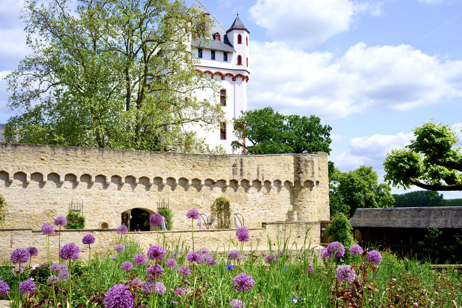 Eltville am Rhein