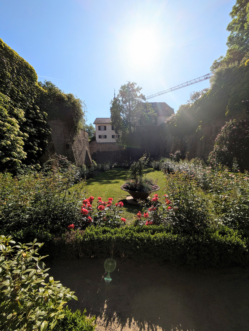 Eltville Castle Garden