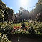 Eltville Castle Garden