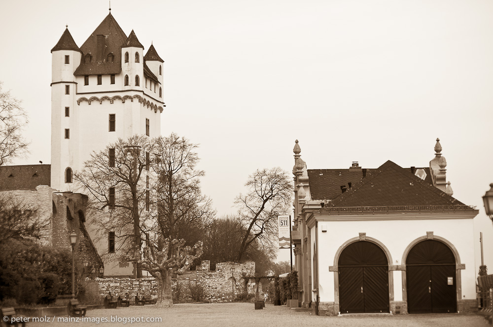 Eltville on a winters day / Rheingau 2011